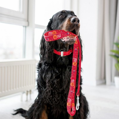 Digitally Sublimated Pet Leash